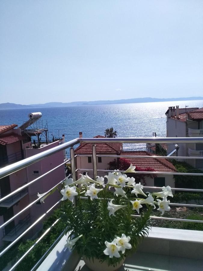 Alkioni'S Nest Apartments Arkoudi Exteriér fotografie